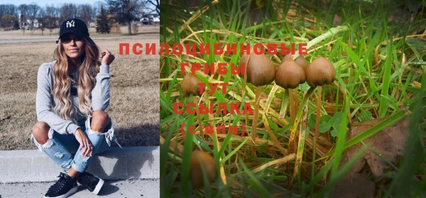 ешки Абаза