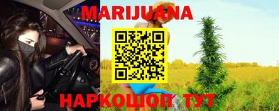 гидра Рязань