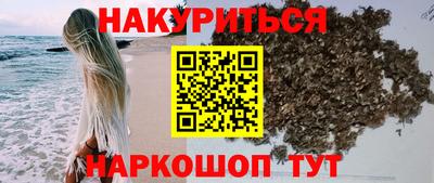 гидра Рязань
