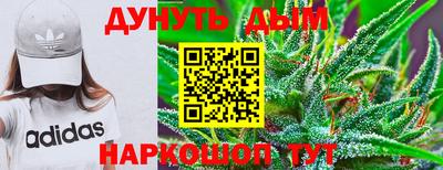 гидра Рязань