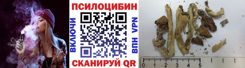 Псилоцибиновые грибы GOLDEN TEACHER  Усть-Илимск 