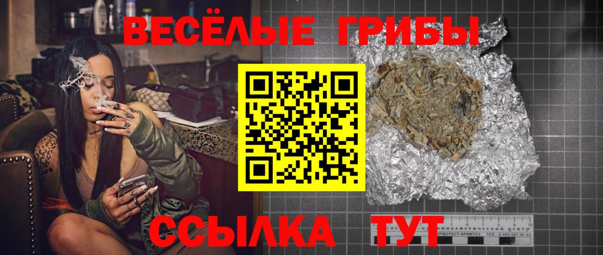 Галлюциногенные грибы Psilocybe  Вход с VPN  Усть-Илимск 